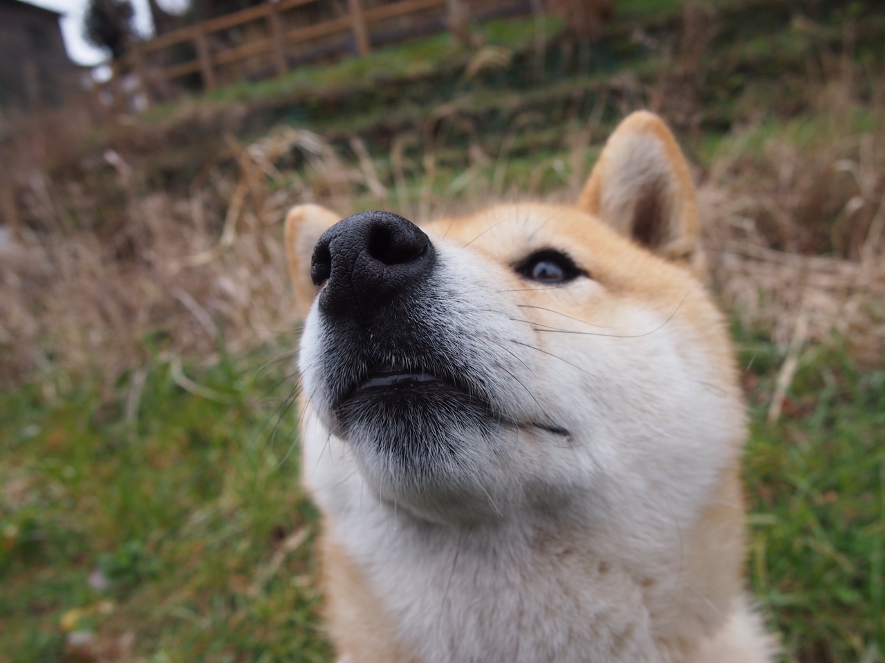 当亚洲冠军遇上欧洲鱼腩，一场3-1背后，马丁内利如何成为改写剧本的关键先生？