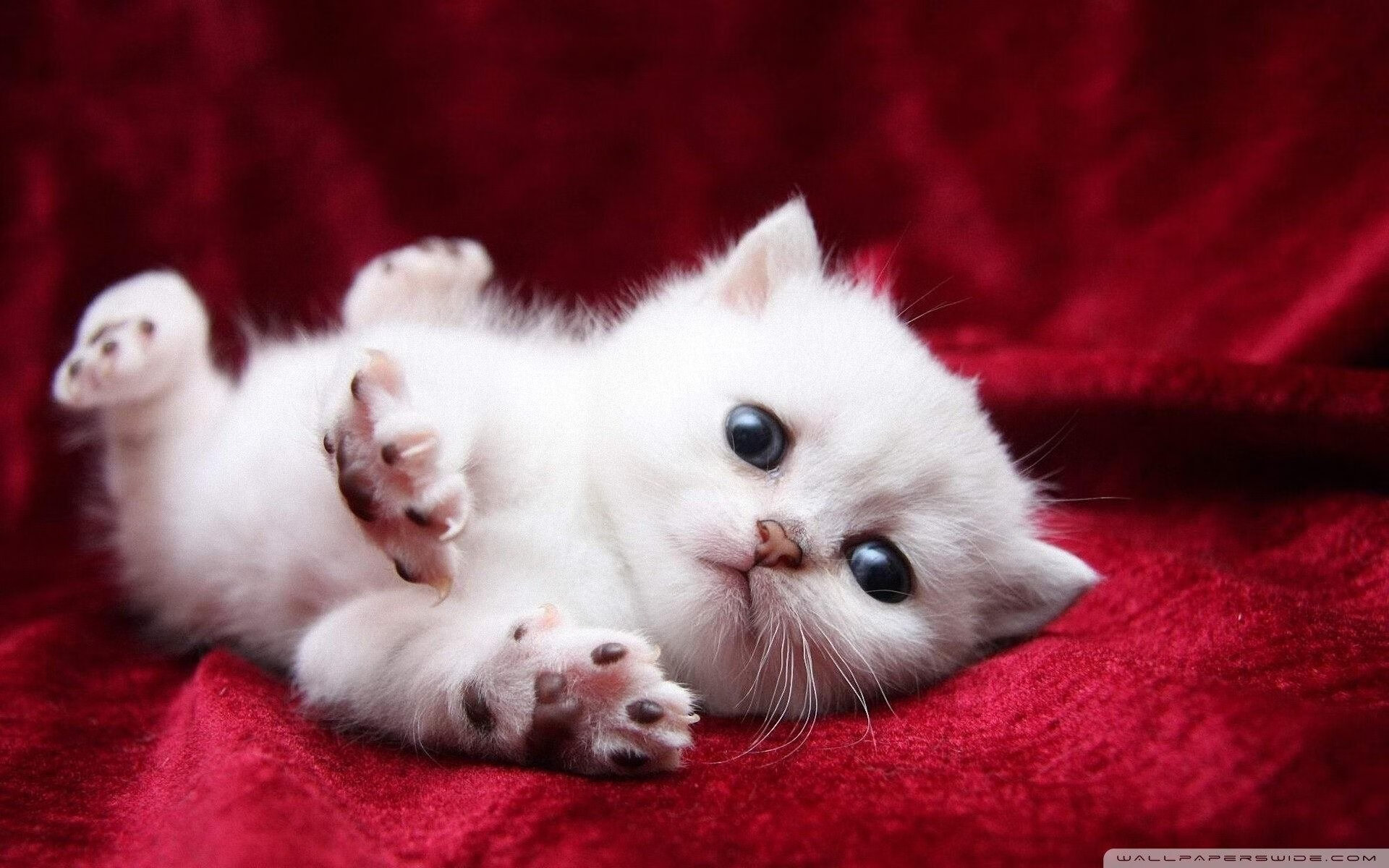 开云APP-西甲双星陨落与武士刀出鞘，足球东西方双线震动！